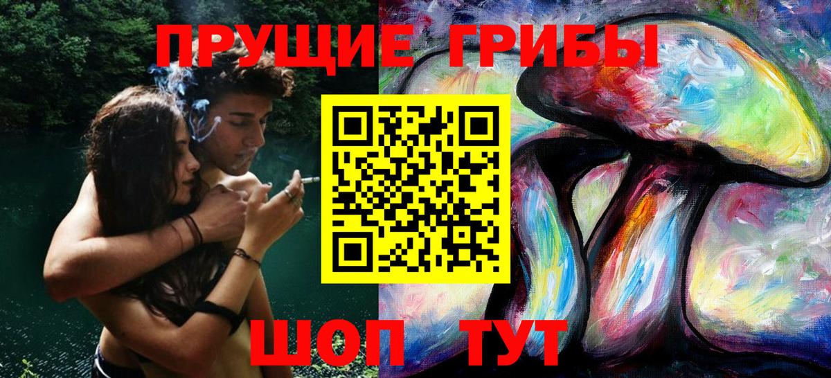 Галлюциногенные грибы прущие грибы  Вход с VPN  Губкин 